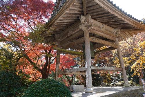 大洞院紅葉