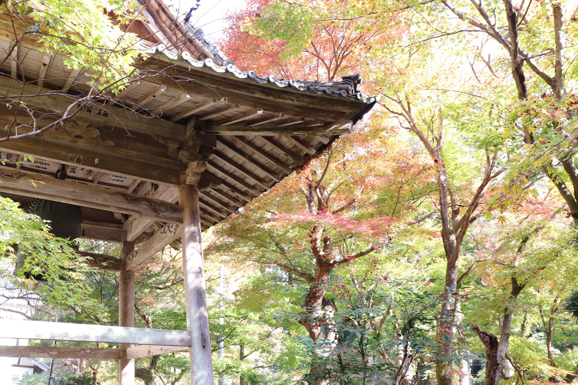 大洞院