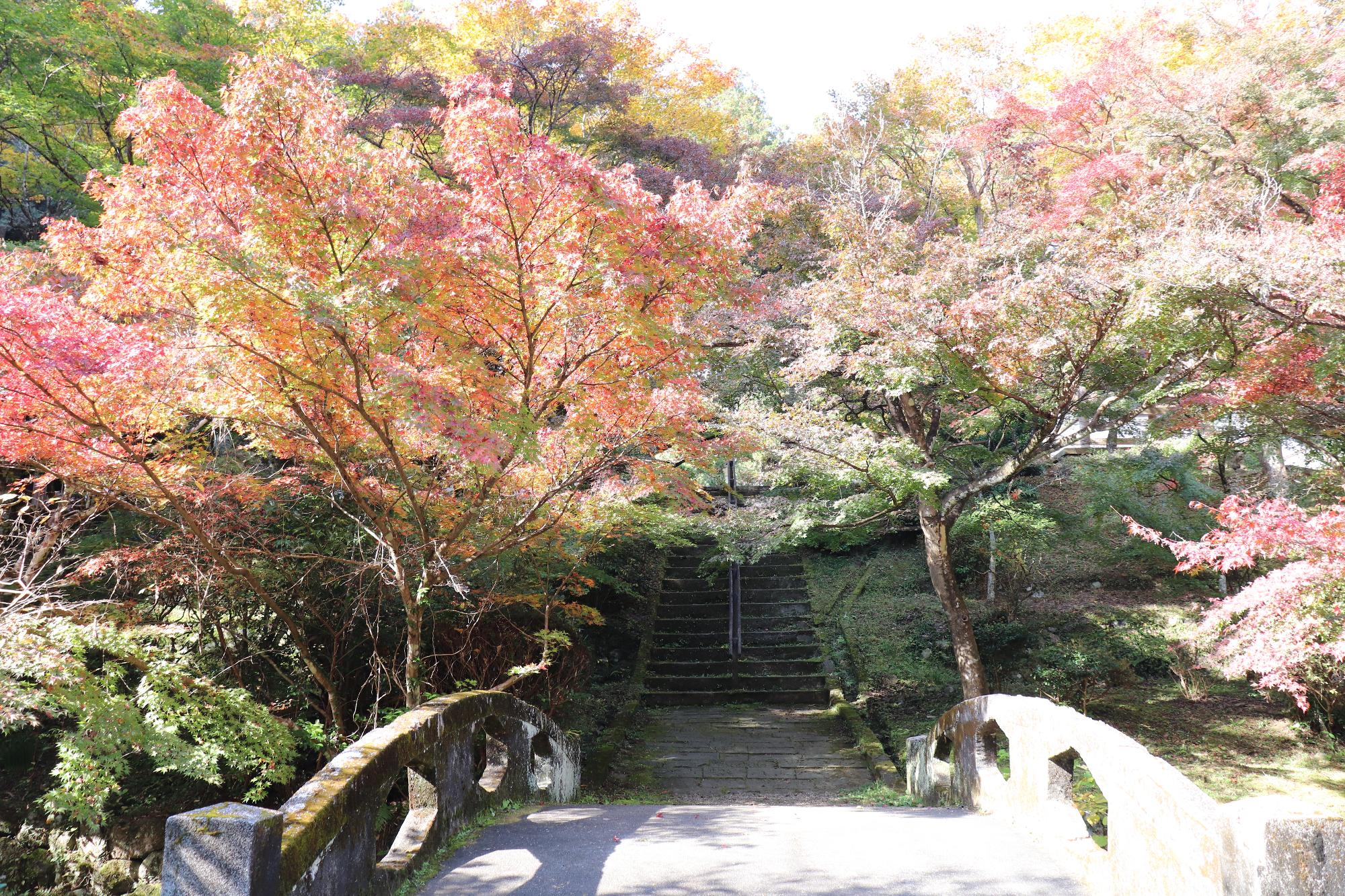 大洞院