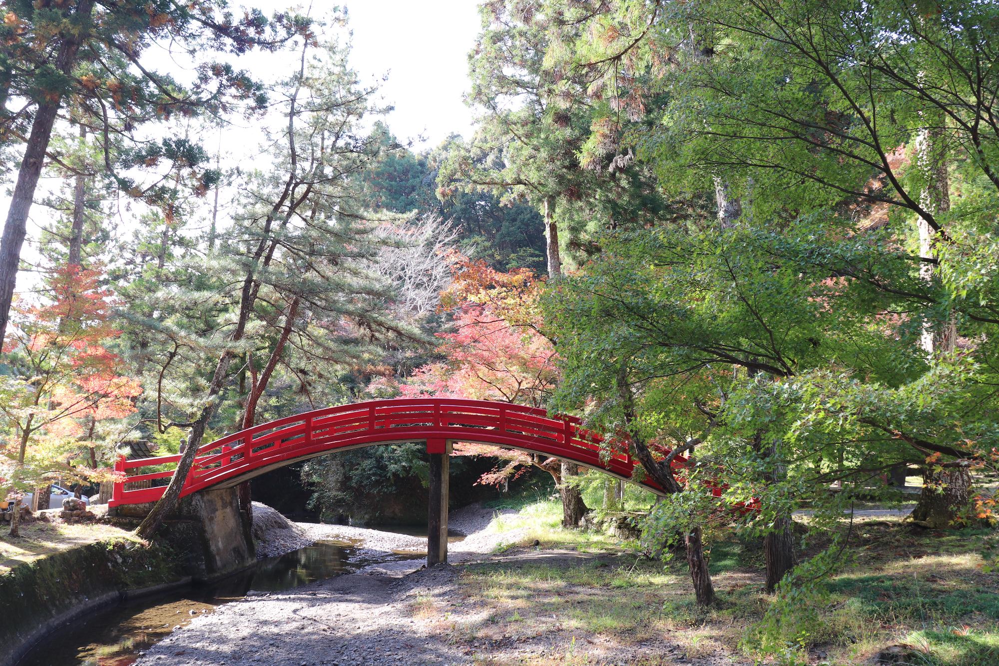 大洞院