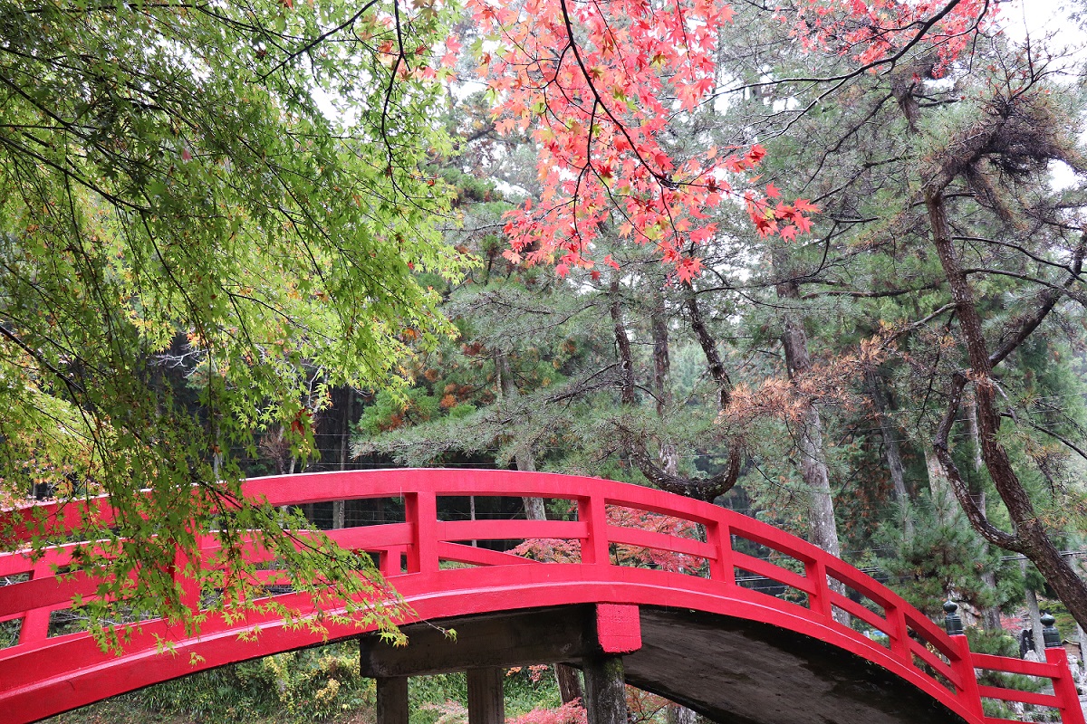 大洞院紅葉