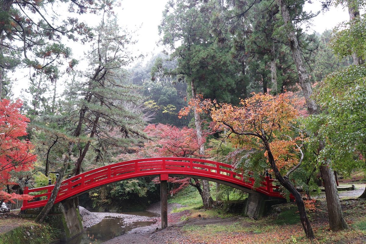 大洞院紅葉