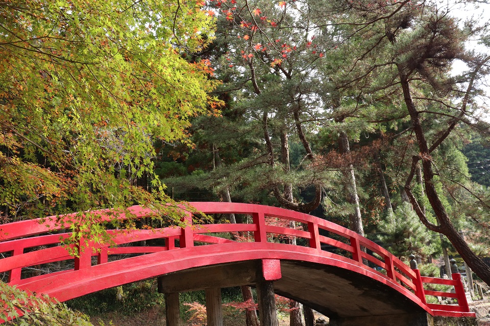 大洞院紅葉