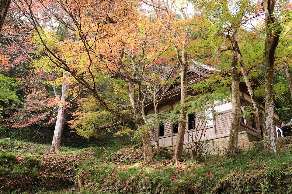 大洞院紅葉