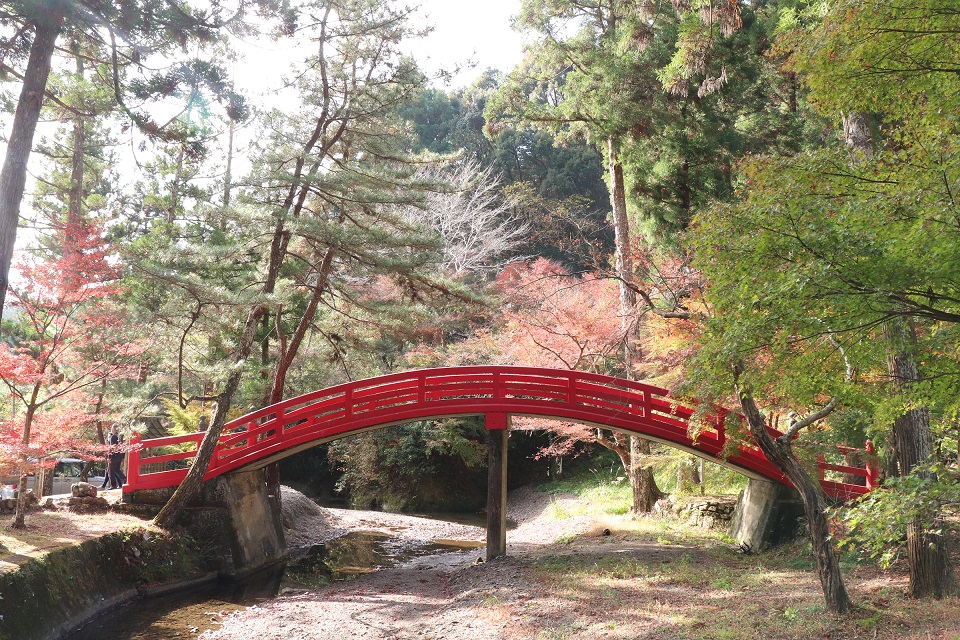 大洞院紅葉