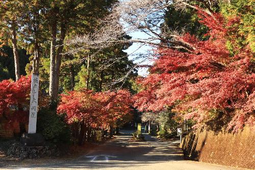 大洞院12041