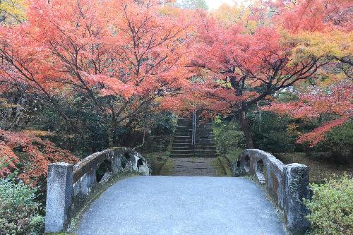 大洞院12042