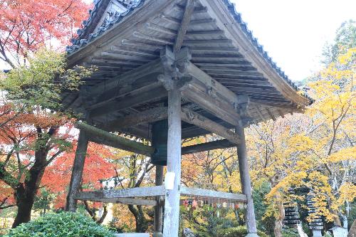 大洞院12043