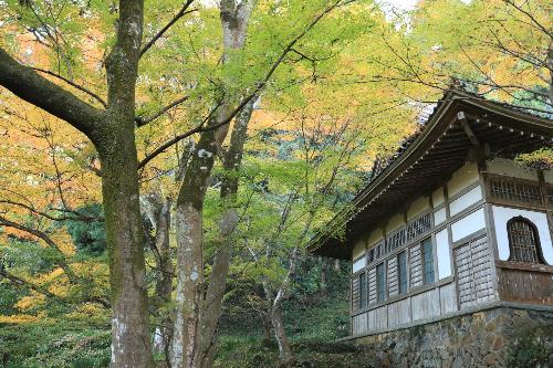 大洞院12044