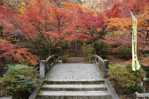 大洞院紅葉