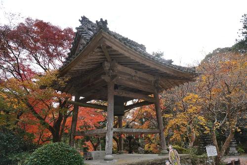 大洞院紅葉