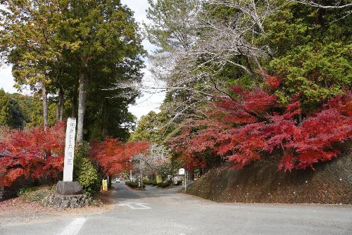 大洞院紅葉