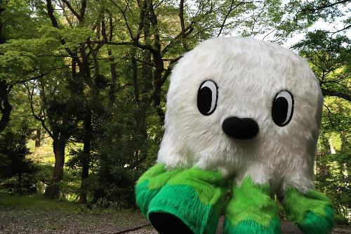 コモコモポーズ