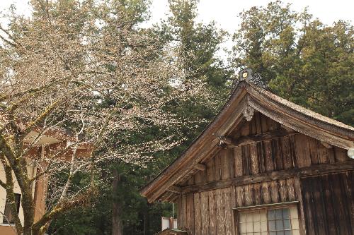 小國神社舞殿横