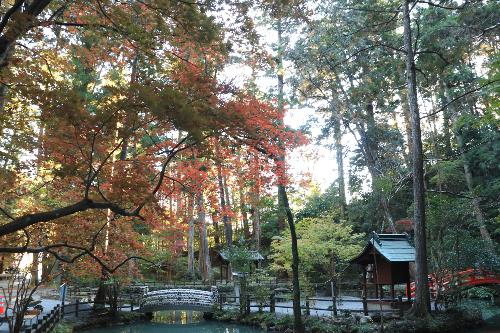 小國神社12041