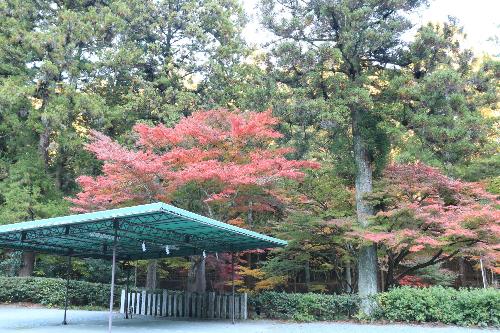 小國神社12042
