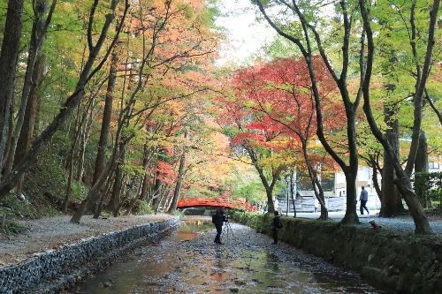 小國神社12043
