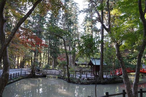 小國神社紅葉