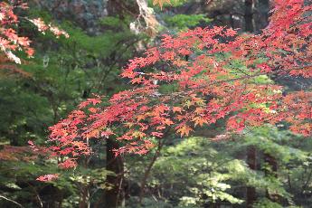 小國神社