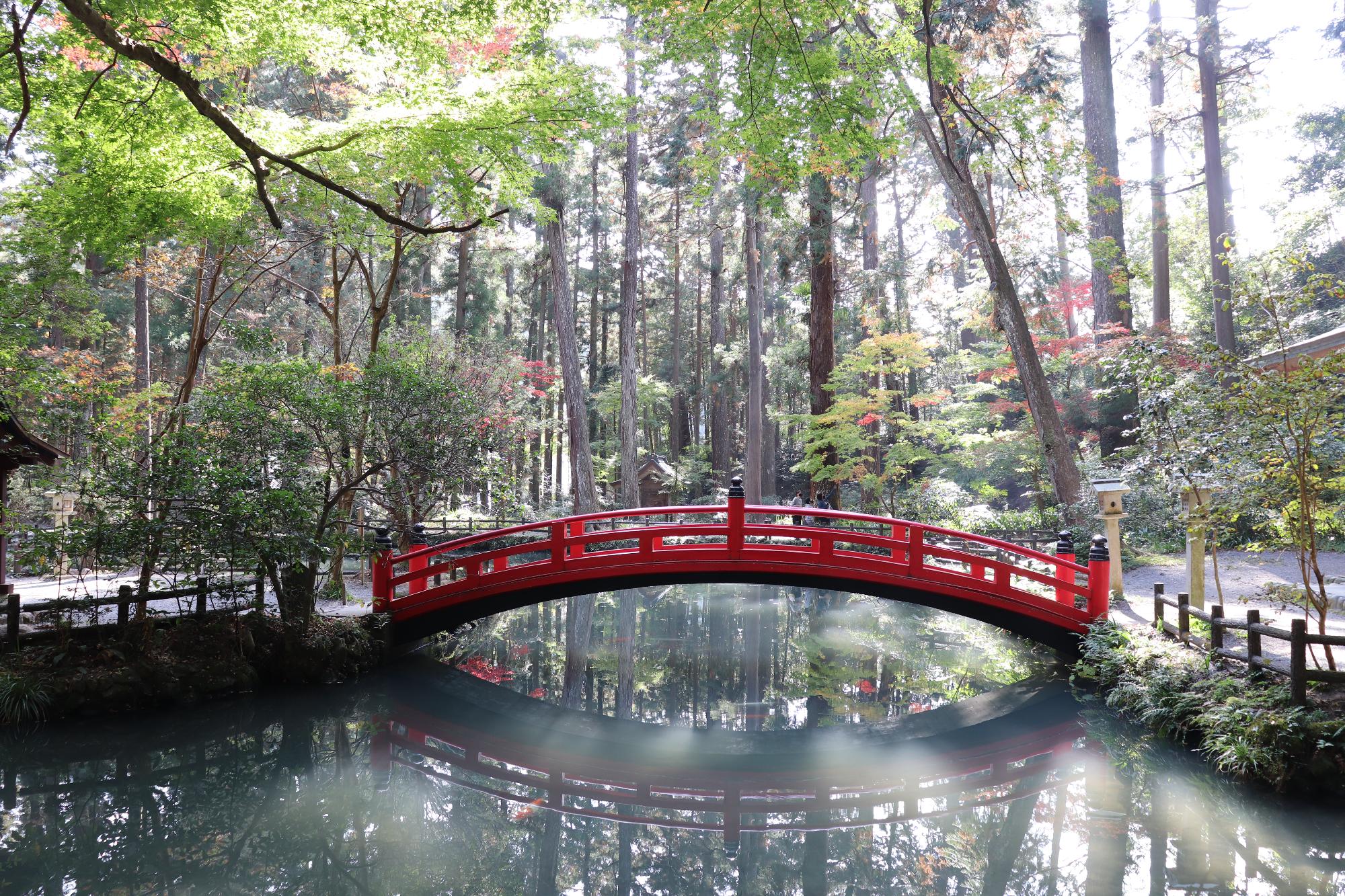 小國神社紅葉