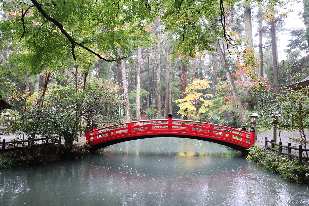 小國神社紅葉