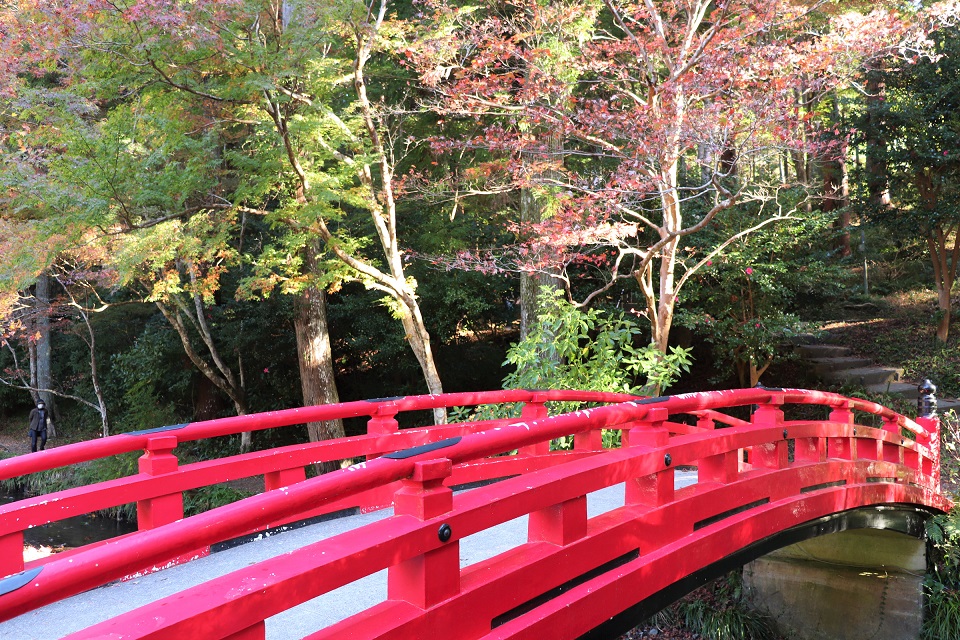 小國神社紅葉