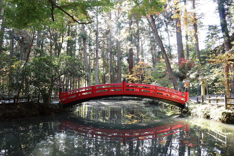 小國神社紅葉