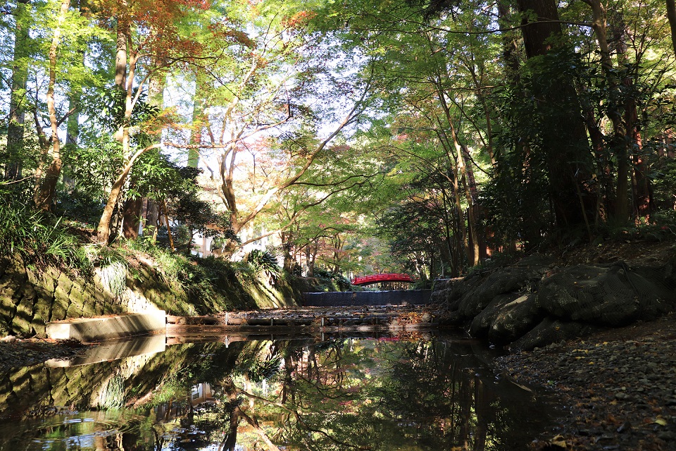 小國神社紅葉