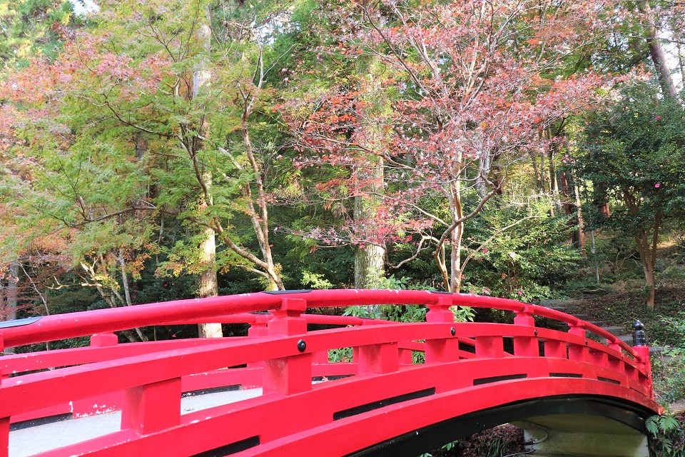 小國神社紅葉