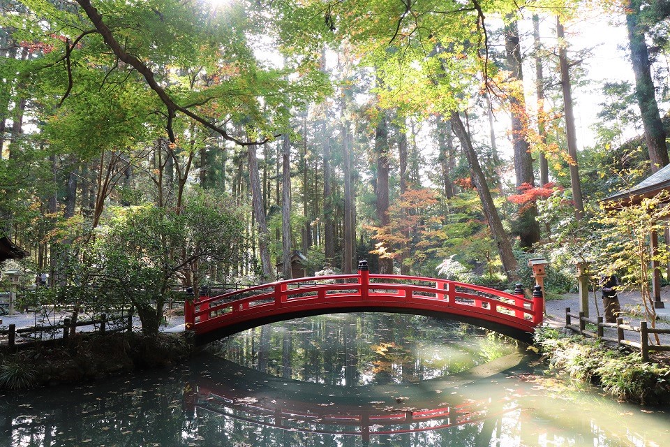 小國神社紅葉