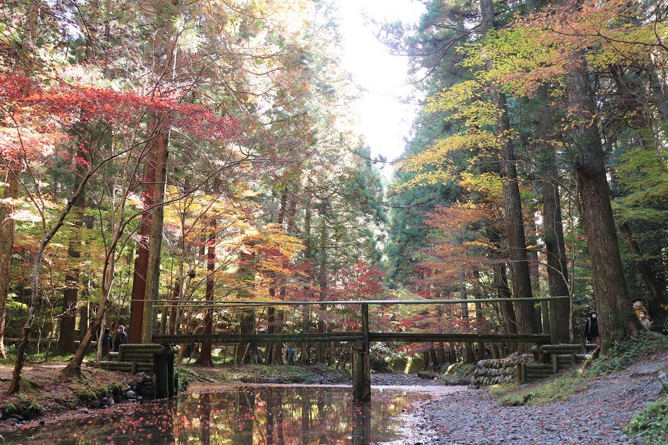 小國神社紅葉