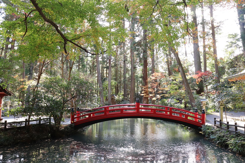 小國神社紅葉