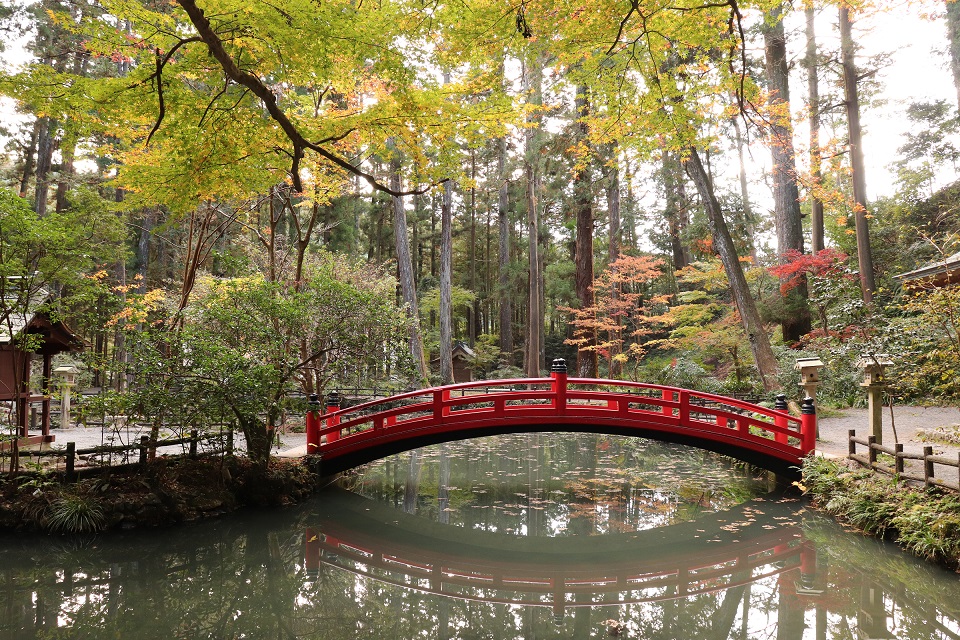 小國神社紅葉