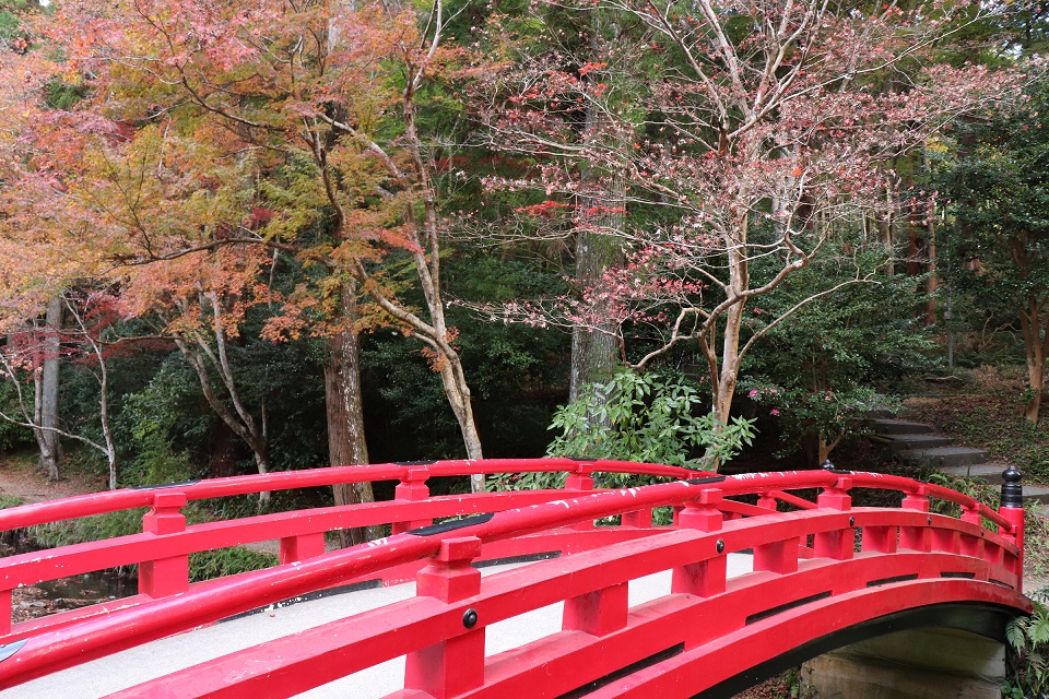 小國神社紅葉