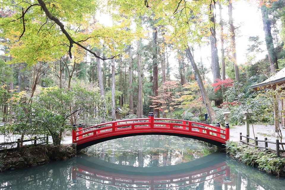 小國神社紅葉