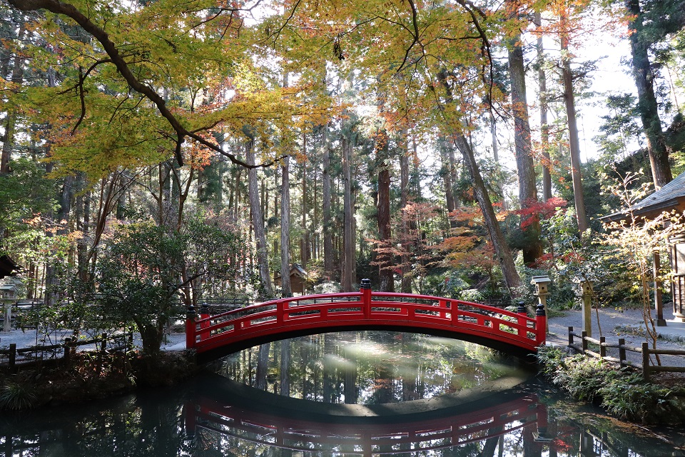 小國神社紅葉