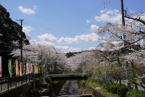 小國神社駐車場横