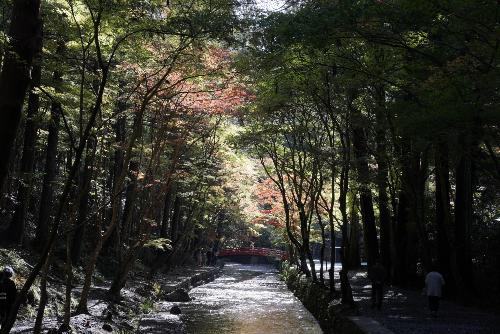 紅葉
