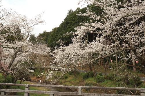 小國神社4