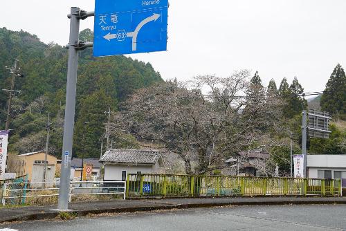 戦国夢街道ハイキングコーススタート地点