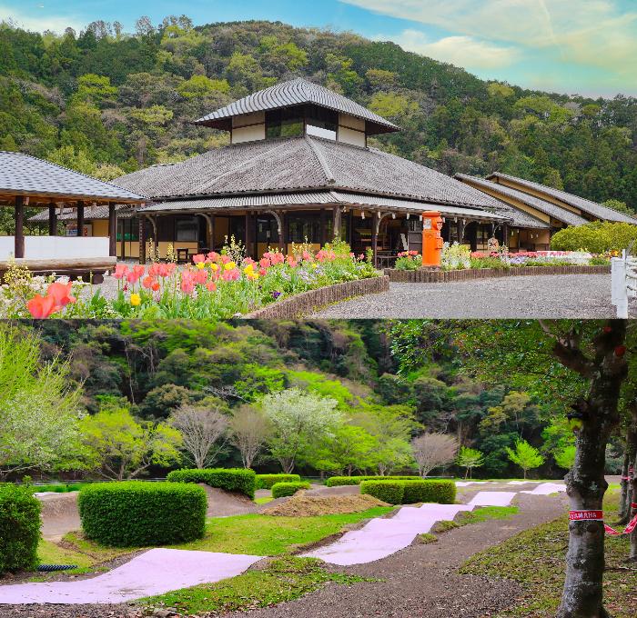 アクティ森リニューアル写真